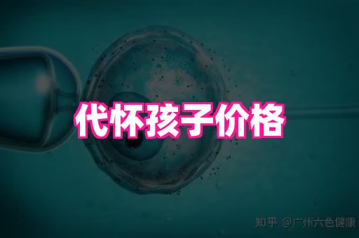 nub孕网 2